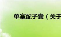 单室配子囊（关于单室配子囊简介）