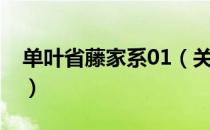 单叶省藤家系01（关于单叶省藤家系01简介）
