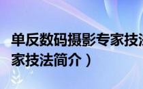 单反数码摄影专家技法（关于单反数码摄影专家技法简介）