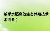 单季水稻高效生态养殖技术（关于单季水稻高效生态养殖技术简介）