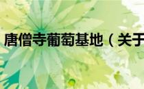唐僧寺葡萄基地（关于唐僧寺葡萄基地介绍）