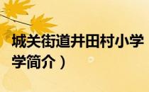 城关街道井田村小学（关于城关街道井田村小学简介）