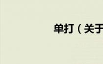 单打（关于单打简介）