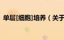 单层[细胞]培养（关于单层[细胞]培养简介）
