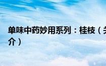 单味中药妙用系列：桂枝（关于单味中药妙用系列：桂枝简介）