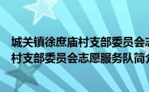 城关镇徐庶庙村支部委员会志愿服务队（关于城关镇徐庶庙村支部委员会志愿服务队简介）