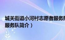 城关街道小河村志愿者服务队（关于城关街道小河村志愿者服务队简介）