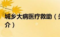 城乡大病医疗救助（关于城乡大病医疗救助简介）
