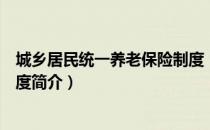 城乡居民统一养老保险制度（关于城乡居民统一养老保险制度简介）