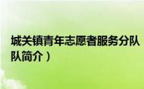 城关镇青年志愿者服务分队（关于城关镇青年志愿者服务分队简介）