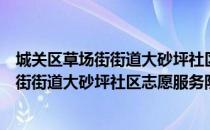 城关区草场街街道大砂坪社区志愿服务队（关于城关区草场街街道大砂坪社区志愿服务队简介）