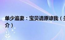 单少追妻：宝贝请原谅我（关于单少追妻：宝贝请原谅我简介）