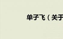 单子飞（关于单子飞简介）