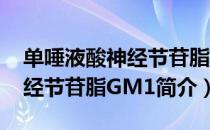 单唾液酸神经节苷脂GM1（关于单唾液酸神经节苷脂GM1简介）