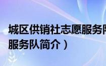 城区供销社志愿服务队（关于城区供销社志愿服务队简介）