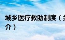 城乡医疗救助制度（关于城乡医疗救助制度简介）