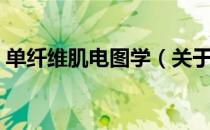 单纤维肌电图学（关于单纤维肌电图学简介）