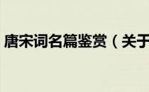 唐宋词名篇鉴赏（关于唐宋词名篇鉴赏介绍）