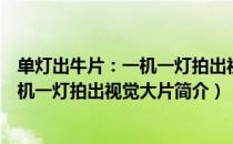 单灯出牛片：一机一灯拍出视觉大片（关于单灯出牛片：一机一灯拍出视觉大片简介）