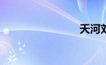 天河刘亮王
