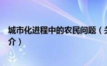 城市化进程中的农民问题（关于城市化进程中的农民问题简介）