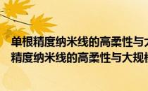 单根精度纳米线的高柔性与大规模操控技术研究（关于单根精度纳米线的高柔性与大规模操控技术研究简介）