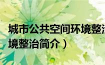 城市公共空间环境整治（关于城市公共空间环境整治简介）