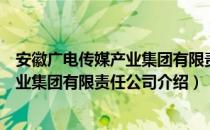安徽广电传媒产业集团有限责任公司（关于安徽广电传媒产业集团有限责任公司介绍）