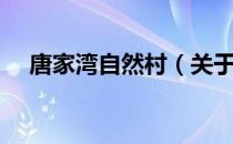 唐家湾自然村（关于唐家湾自然村介绍）