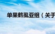 单果鹤虱亚组（关于单果鹤虱亚组简介）