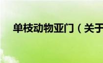 单枝动物亚门（关于单枝动物亚门简介）