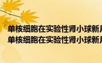 单核细胞在实验性肾小球新月体形成和发展中的作用（关于单核细胞在实验性肾小球新月体形成和发展中的作用简介）