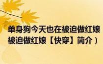 单身狗今天也在被迫做红娘【快穿】（关于单身狗今天也在被迫做红娘【快穿】简介）