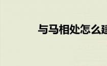 与马相处怎么建立感情的纽带
