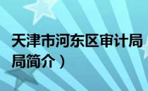 天津市河东区审计局（关于天津市河东区审计局简介）