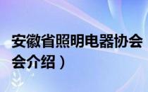 安徽省照明电器协会（关于安徽省照明电器协会介绍）