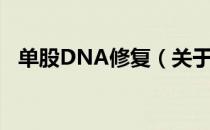 单股DNA修复（关于单股DNA修复简介）