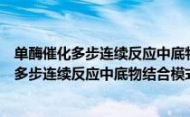 单酶催化多步连续反应中底物结合模式研究（关于单酶催化多步连续反应中底物结合模式研究简介）