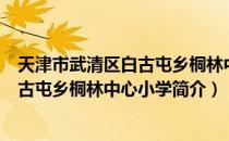 天津市武清区白古屯乡桐林中心小学（关于天津市武清区白古屯乡桐林中心小学简介）