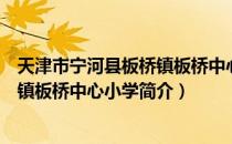 天津市宁河县板桥镇板桥中心小学（关于天津市宁河县板桥镇板桥中心小学简介）