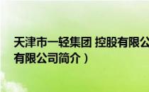 天津市一轻集团 控股有限公司（关于天津市一轻集团 控股有限公司简介）