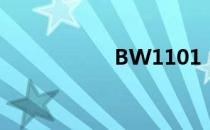 BW1101（bw110）