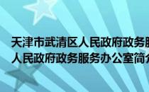 天津市武清区人民政府政务服务办公室（关于天津市武清区人民政府政务服务办公室简介）