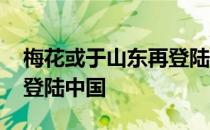 梅花或于山东再登陆 这将是“梅花”第三次登陆中国