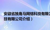 安徽省独角马网络科技有限公司（关于安徽省独角马网络科技有限公司介绍）