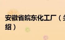 安徽省皖东化工厂（关于安徽省皖东化工厂介绍）