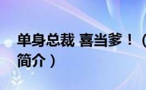 单身总裁 喜当爹！（关于单身总裁 喜当爹！简介）