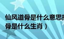 仙风道骨是什么意思指的是什么生肖（仙风道骨是什么生肖）