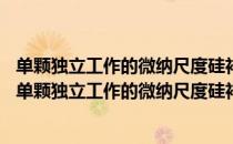 单颗独立工作的微纳尺度硅衬底GaN基发光器件研究（关于单颗独立工作的微纳尺度硅衬底GaN基发光器件研究简介）
