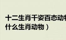 十二生肖千姿百态动物是什么（千姿百态是指什么生肖动物）